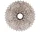 Kassette Shimano Deore CS-HG50 10-Fach 11-36 Zähne