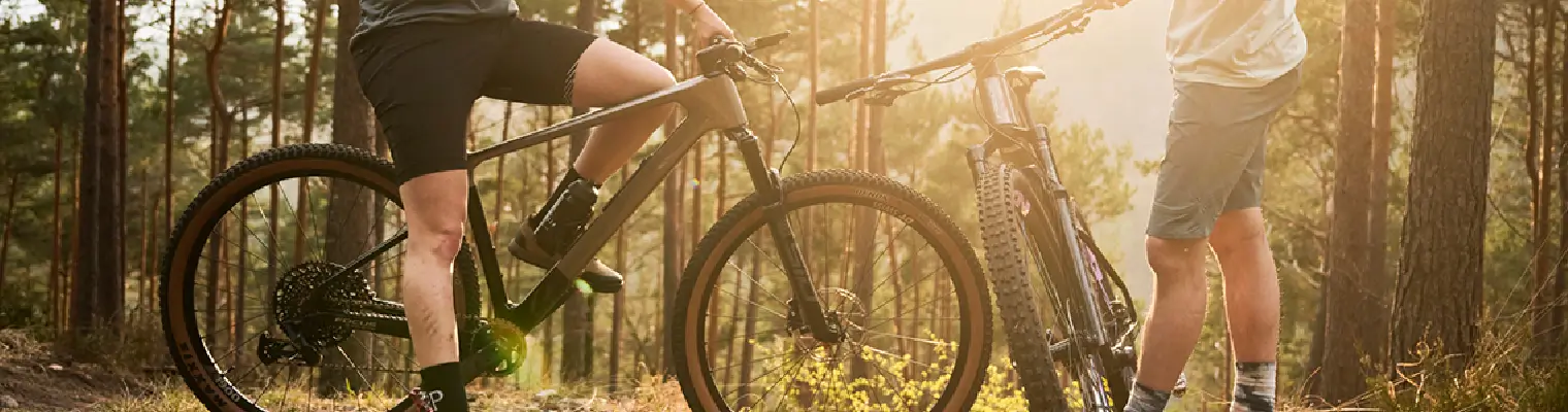 banner-mountainbikes.webp